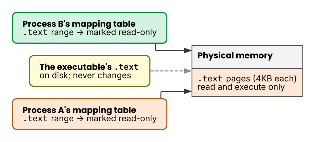 Two processes sharing the same physical page